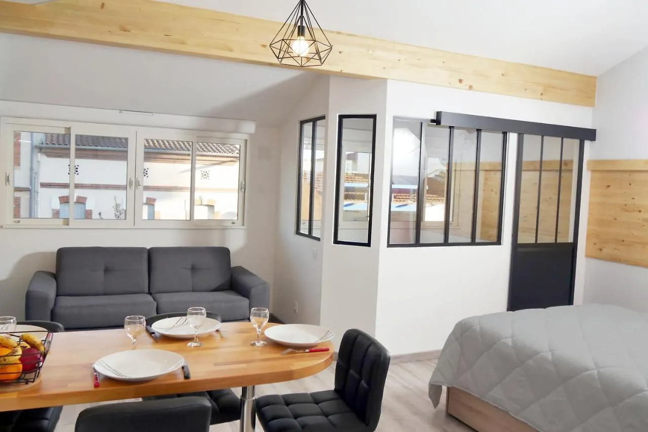 Appart Hotel Albi